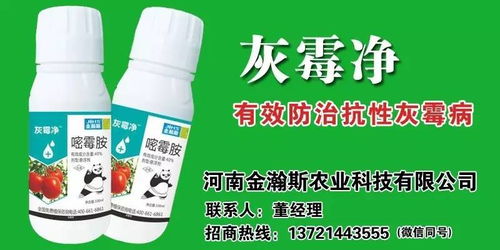 喷洒方法：均匀喷洒， 避免污染