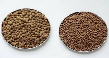 望成饲料在中国前十大猪饲料品牌中排名如何？