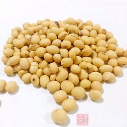 山东鲤鱼饲料中，鲤鱼适合吃什么类型的饲料来促进健康生长？
