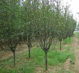 价格背后的故事