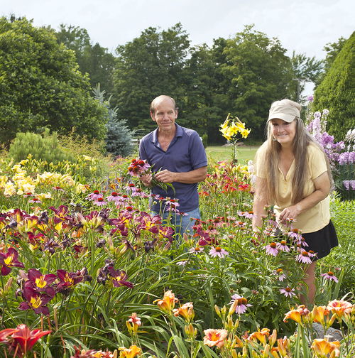 大面积种植花草，品种与养护的抉择之旅