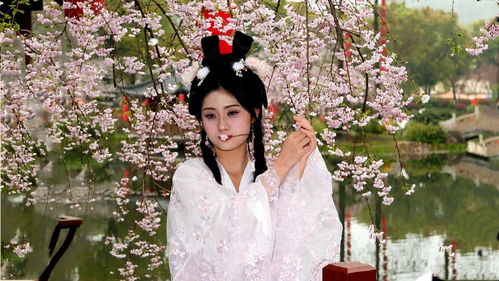 美人樱花语：美丽如花，畅销花卉爆款