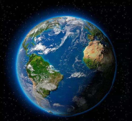 生命的坚韧与智慧