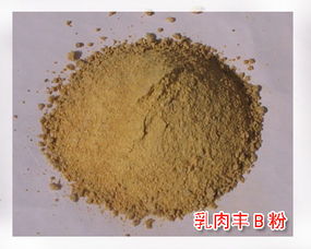 过瘤胃豆粕的抗原蛋白与发酵豆粕相同吗？