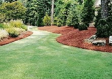 土壤改良的烂招数