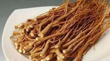 柴胡种子发芽周期全解， 揭秘发芽关键因素