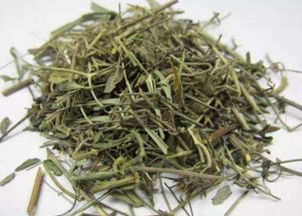 透骨草功效显著，如何正确使用才能发挥最大效果