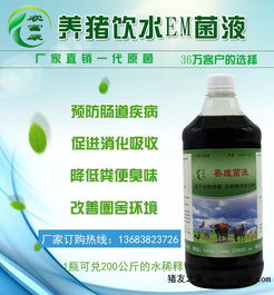 酵母菌在猪饲料中如何发挥关键作用？养殖EM菌在养猪上应用有哪些好处？