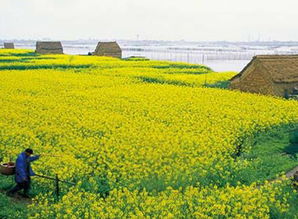 高原地区种草难，这个省的3万方案为何让人惊艳？