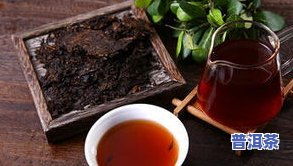 揭秘普洱茶生茶与熟茶：哪个更适合您的品饮偏好？