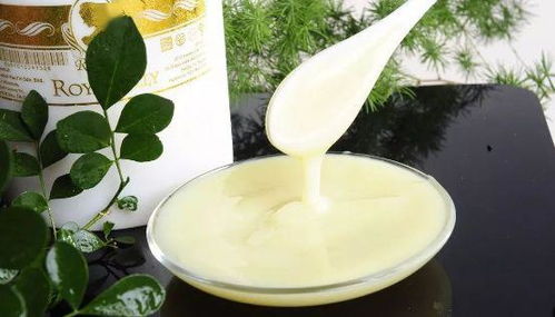 揭秘蜂王浆保鲜技巧与花卉养护秘诀，让花朵更持久绽放！