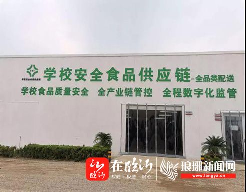 舒乡茶油苗：抚州市独家供应，品质卓越，电话咨询直达