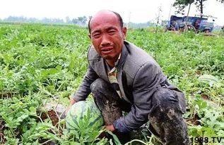 识别病虫害， 就像侦探破案