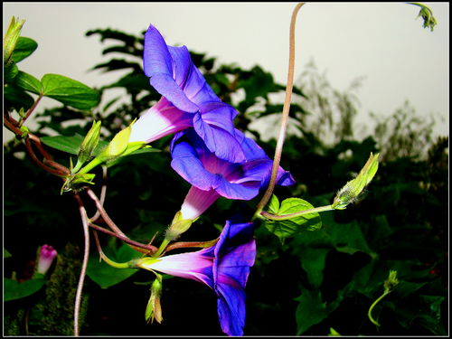 清晨4-5点是高光时刻