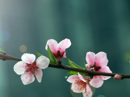 爱情、 勇气与家人平安