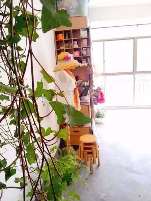 温度与光照，适宜生长