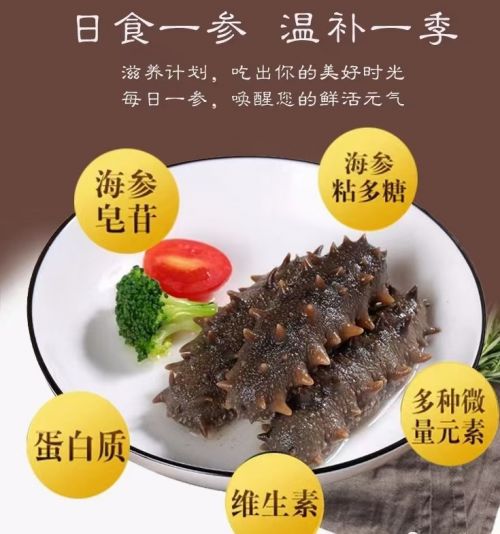 宫品海参，源自深海