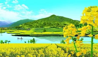 汉中油菜花海，这美景
