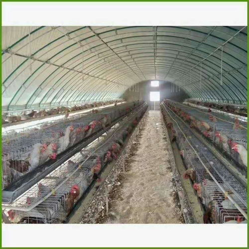 泥鳅大棚养殖，一种利用温室大棚进行泥鳅繁殖和养殖的技术