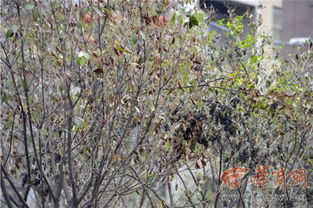 第一步：挖个坑， 坑要大，大得像个游泳池