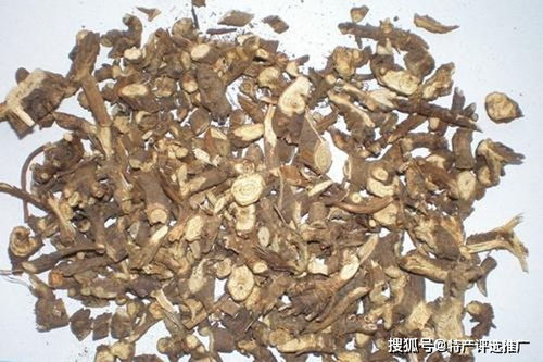 南北气候差异，怎么办