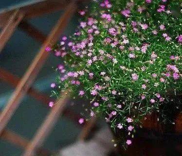 生长的黄金时期