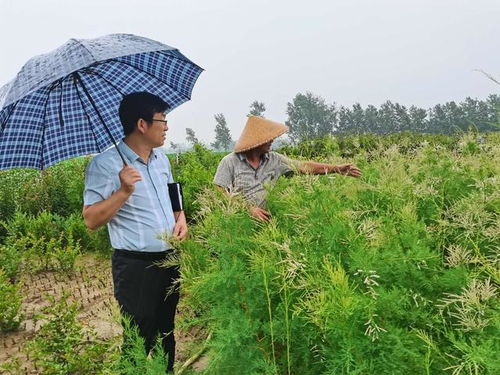 从贫困到致富的蜕变