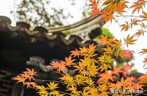 染后 创新思维是灵魂