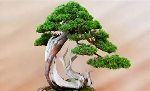 关键操作细节， 你不得不堪