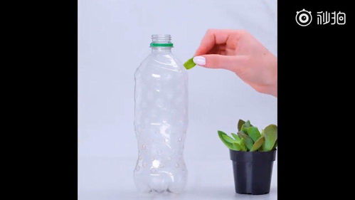 装瓶低温储存， 保鲜膜密封