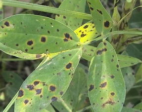 浓度控制，不Neng太随意