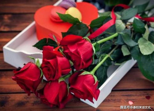 选择绿色的生命， 传递持久的爱