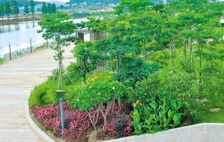 城市绿化：现状与挑战