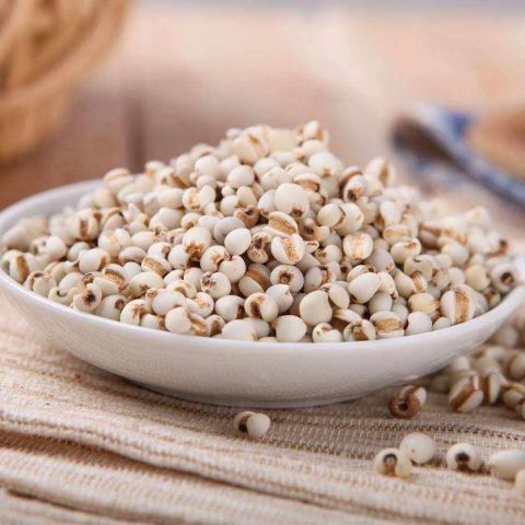 避坑指南：网购薏米种子要小心