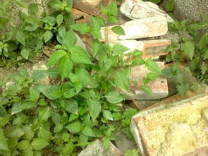 先说个反常识的：