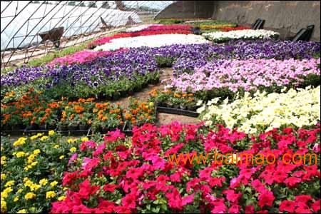 舟山的气候特点