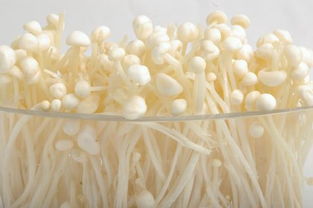 金针菇种植产量高？试试这几个小技巧