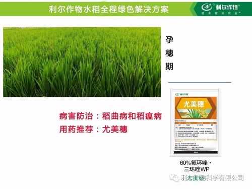 灭多威农药的兴衰