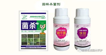 化学治疗：药剂大显身手