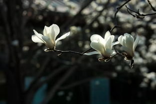 室内装饰工程质量特色水泥粉刷