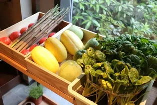 大头菜高清大图，各种品种尽收眼底