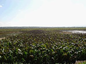 保定自然风光迷人，吸引游客