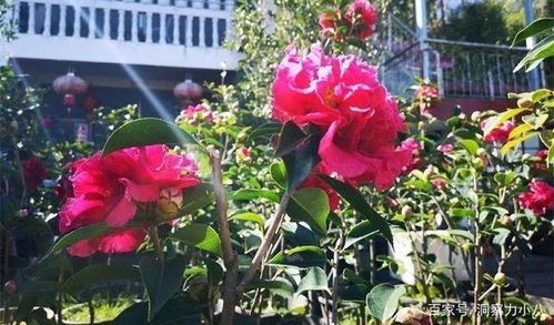 耐心等待， 期待奇迹发生