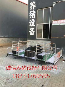 高床分娩栏：养猪场创新养殖技术核心