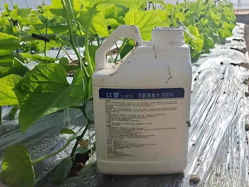 四、 生根剂的选择与购买