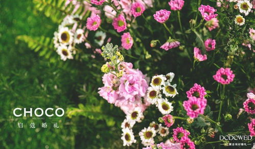 神器推荐， 实用至上