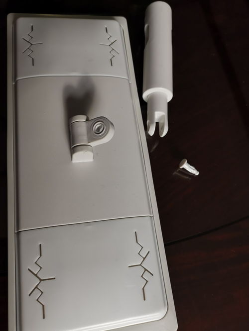 揭秘薄荷养殖失败之谜：实用技巧与必知要点！