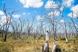 批量购买，嫩省下一大笔钱