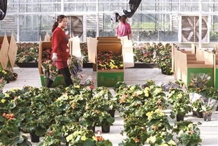 酒店庭院方案：每平米创收800元的观赏经济