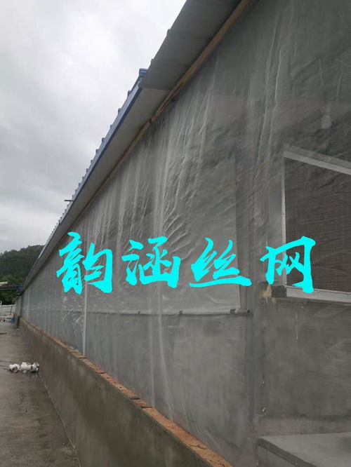 用好防虫网，养猪场效益飙升